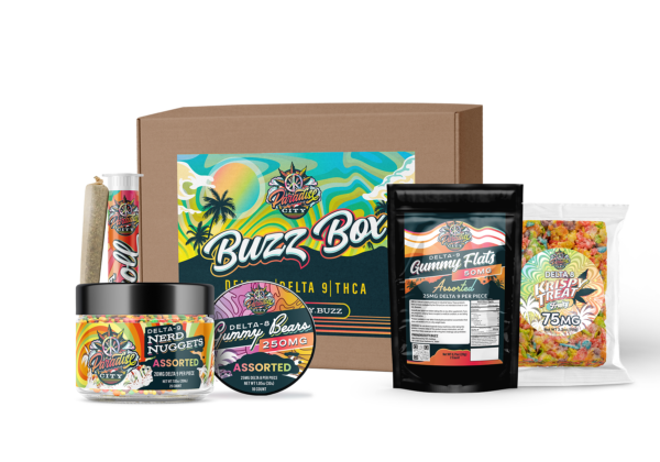 Mailing-Box-Mockup_PARADISE-CITY-1